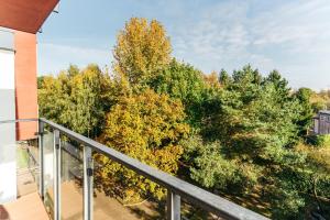 APT Nadmorskie - Muszelkowe - basen w cenie