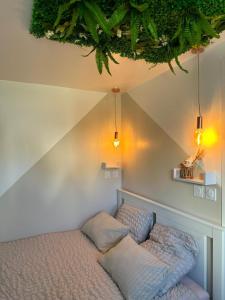 Joli studio cosy indépendant