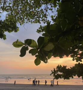12 Monks - Beachfront Hostel