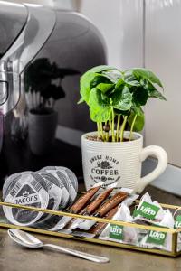 Sika Cristal Apartment