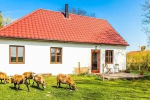 Ubytování v tichu u Českého Krumlova - Omlenice