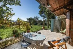 Col Di Metino - Umbria - 瓜尔多塔迪诺