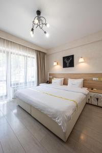 Standard Double or Twin Room room in Helios by Ribas