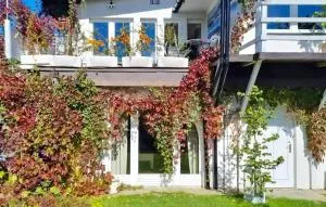 Amazing Apartment In Murzasichle - 希切玛尔