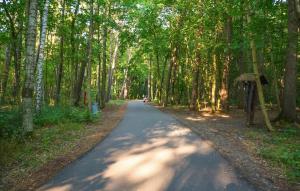 2 Bedroom Amazing Home In Mielenko