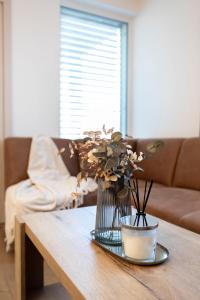 ALURE RESIDENCES 9 & 24h self check-in, private parking in front of the apartment building included, new building, terrace, the apartment building has its own park with a lake and outdoor fitness, childrens playground, CITY CENTER