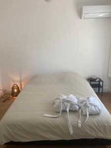 Appartements Le Nid D-Aiguelongue Parking Wifi Climatisation Terrasse : photos des chambres