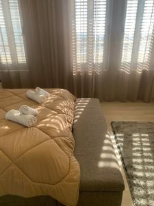 Shkodra Best Place Apartment