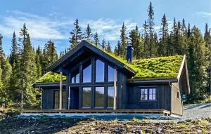 Stunning Home In Vinje With Wifi - Åmot