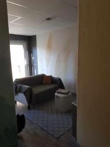 appartement rez de jardin