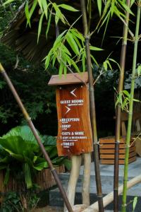 The Elephant Next-Door