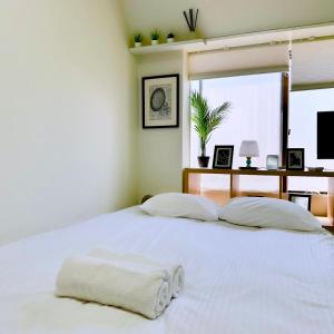 PLAZA SINJUKU Cozy Mansion #2