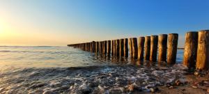 Warnemünde Fewo Galerie Apartment