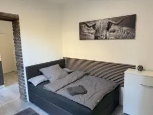 Gemütliche kleine Wohnung mit Balkon - 埃施韦勒