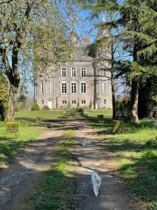 Appartements Chateau Dore les Tours - Appartement Loup : photos des chambres
