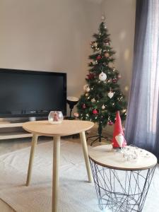 Appartement 2 pièces Obernai proche centre ville