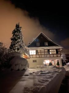 Luxusvilla nahe Zürichsee