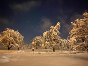 Luxusvilla nahe Zürichsee