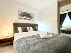 Comfort Suite - Pet Friendly