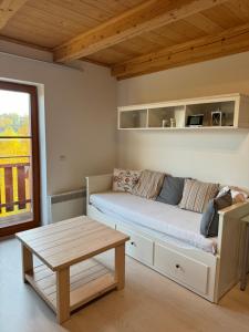 Apartmán Vítkovice 405