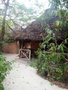 SHADRACK BackPackers