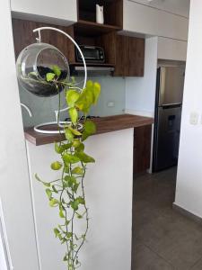 Yumbo apartment Completo