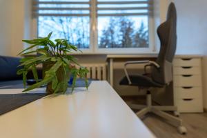 Urban Studio Vilnius