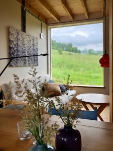 Zielanka - Cabin in Owl Mountains