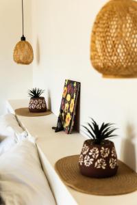 Casa Teotl Puerto Escondido