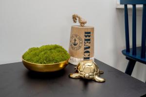 Beachfront Stay with Pool Access Bluefish 7