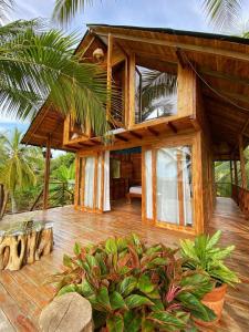 Entre Palmas Cabañas