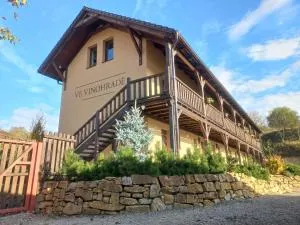 Penzion Ve Vinohradě - Němčičky