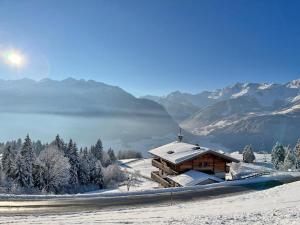 Almliesl Wohnungen UTTE-570 - 3hvězdičkové hotely ve městě Uttendorf