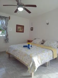 Estudio Coatí Azul en la Isla de Cozumel en el Caribe - Banco Playa