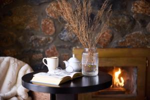 Domotel Neve Mountain Resort