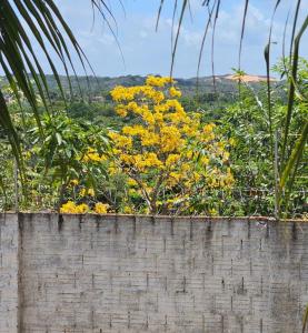 Condomínio Brisa de Pium