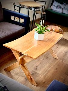 Domek KALINKA -Góry Sowie-Rzeczka