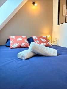 Appartements Le Nectar - Parking Prive, Hyper-centre, Calme : photos des chambres