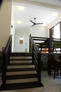 MOMO Villa