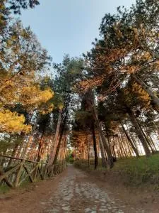 Il Campanile Civico 35 - Castelluccio Inferiore