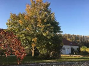 Gîte 8 chambres entre Reims et Epernay - La Chenevière - Gîtes Au Beau Sarrazin - Bisseuil