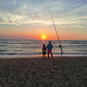 Maisons de vacances Chalet lacanau : photos des chambres