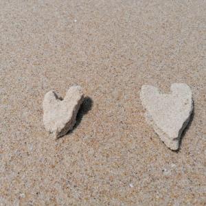 Maisons de vacances Chalet lacanau : photos des chambres