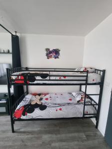 Appartements Studio a 2 pas de Disneyland : photos des chambres