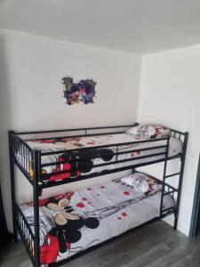Appartements Studio a 2 pas de Disneyland : photos des chambres