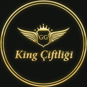 King Pansiyon