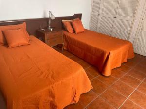 Villita en la floresta