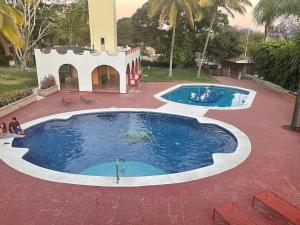 Villita en la floresta