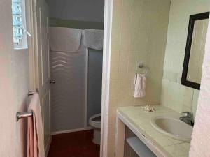 Villita en la floresta