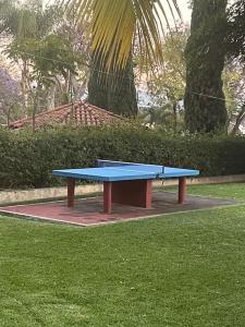 Villita en la floresta